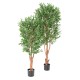 OLIVE TREE KNOTTY TRUNK PLAST UV