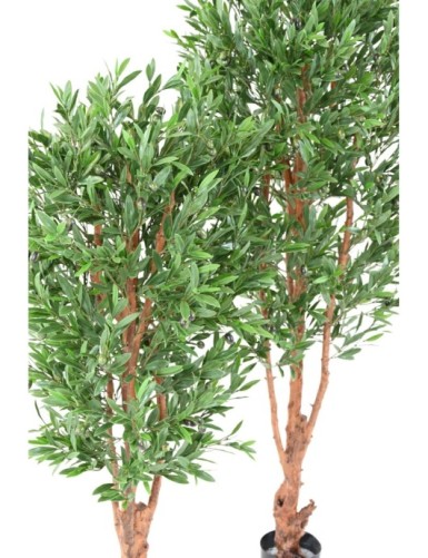 OLIVE TREE KNOTTY TRUNK PLAST UV