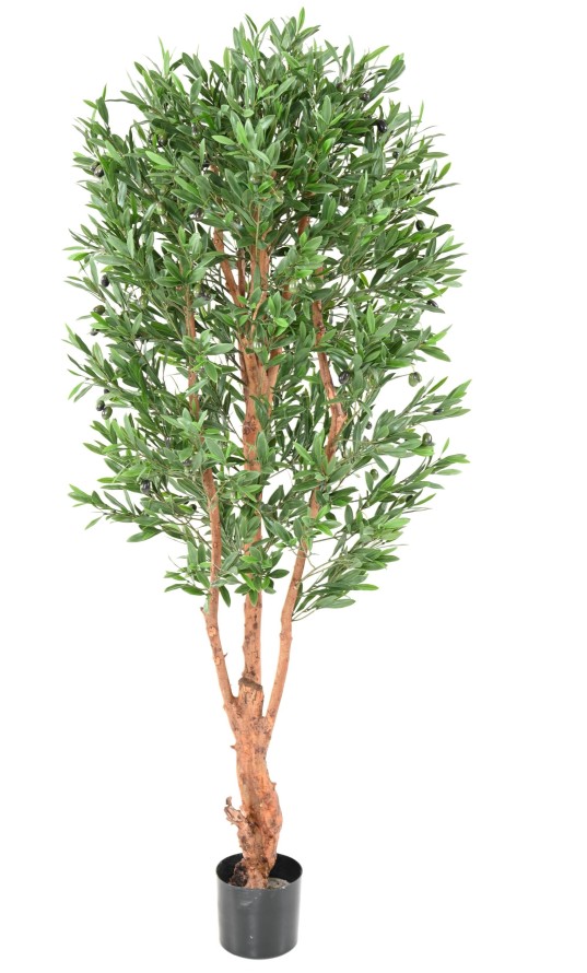 OLIVE TREE KNOTTY TRUNK PLAST UV