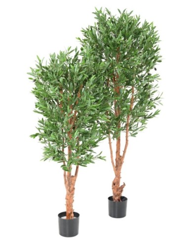 OLIVE TREE KNOTTY TRUNK PLAST UV