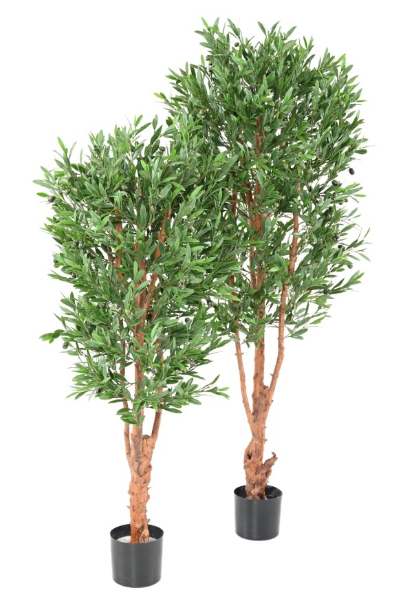 OLIVE TREE KNOTTY TRUNK PLAST UV