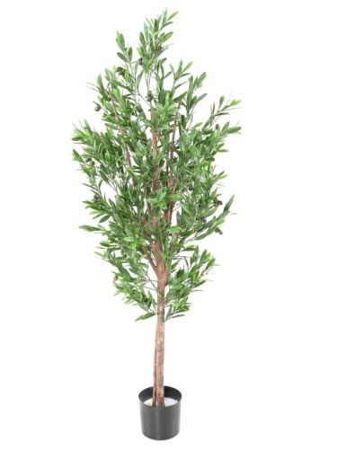 OLIVIER TREE PLAST UV