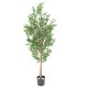 OLIVIER TREE PLAST UV