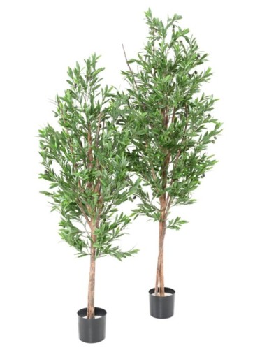 OLIVE TREE PLAST UV