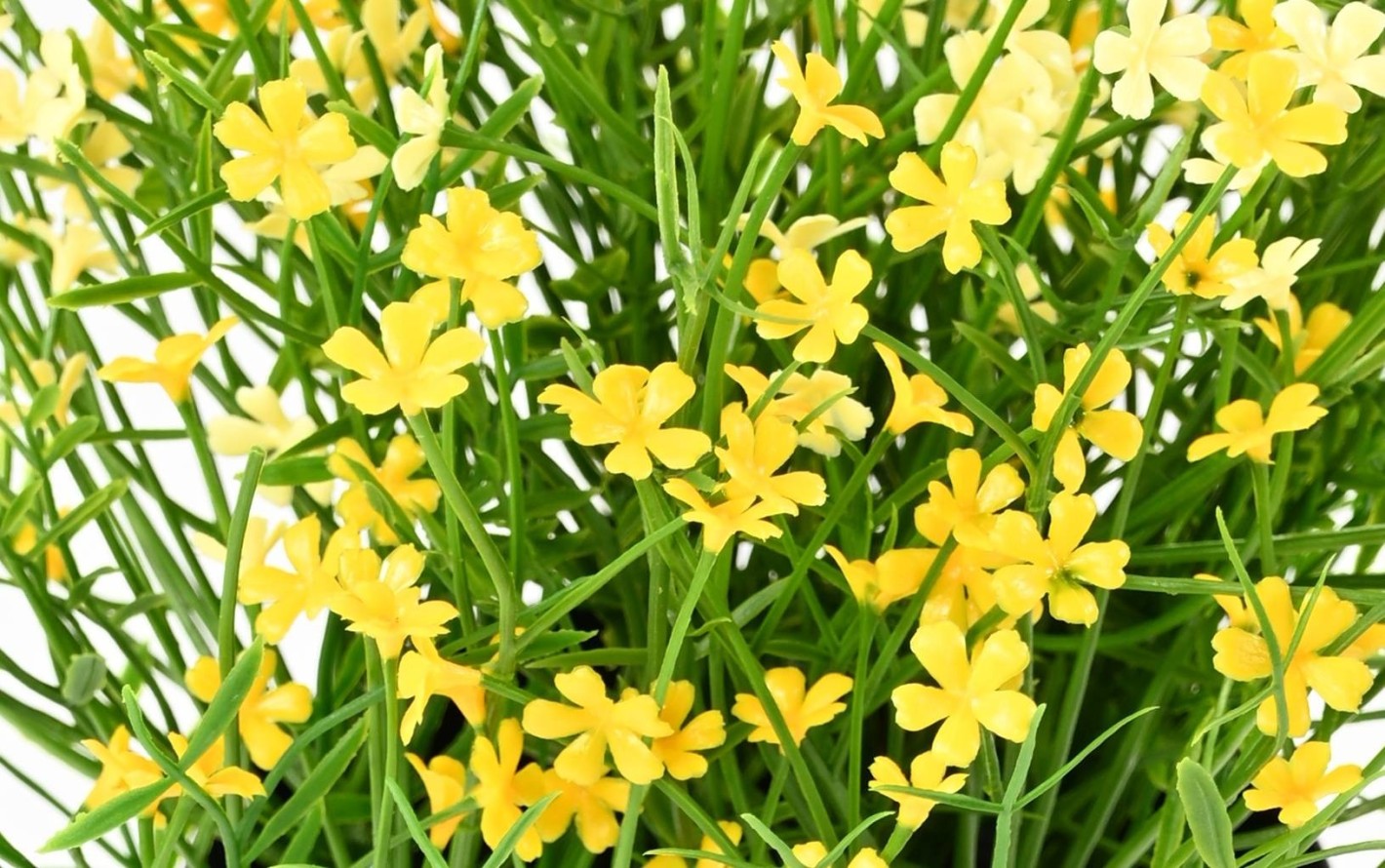 MARGUERITE MINI 20 pot