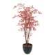 ARALIA PE UV