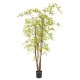 ARALIA PE UV