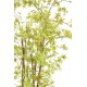 ARALIA PE UV