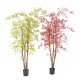 ARALIA PE UV