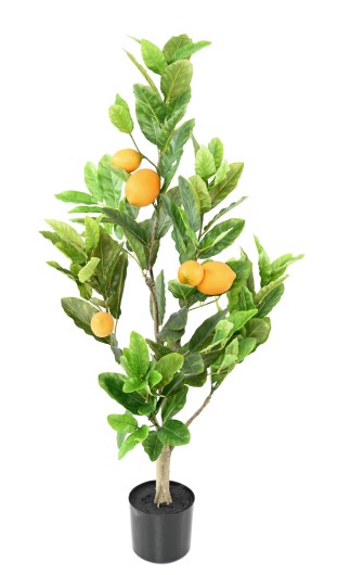 LEMON TREE 90 CM