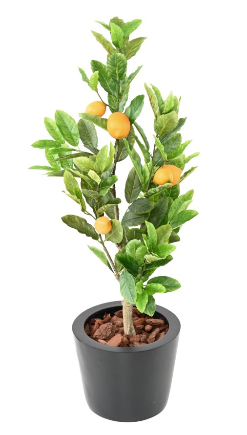 LEMON TREE 90 CM