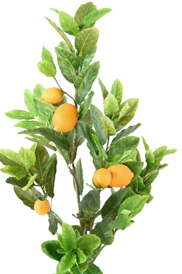 LEMON TREE 90 CM