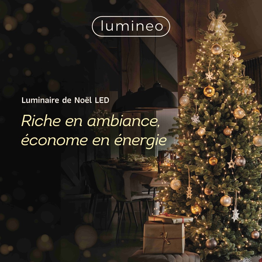 GUIRLANDE LED MULTICOULEUR