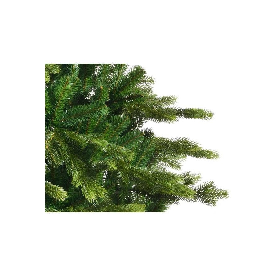 GALLOWAY FIR