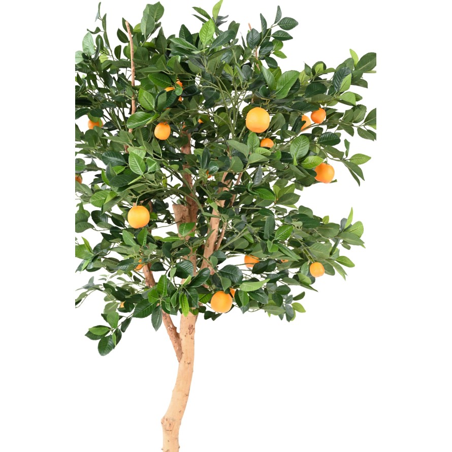 ORANGE TREE T