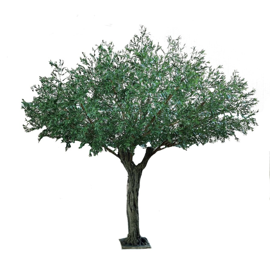 OLIVE TREE UMBRELLA 440 UV