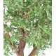 OLIVE TREE UMBRELLA 440 UV