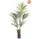 KENTIA PALM 150 FR - Fire Resistant