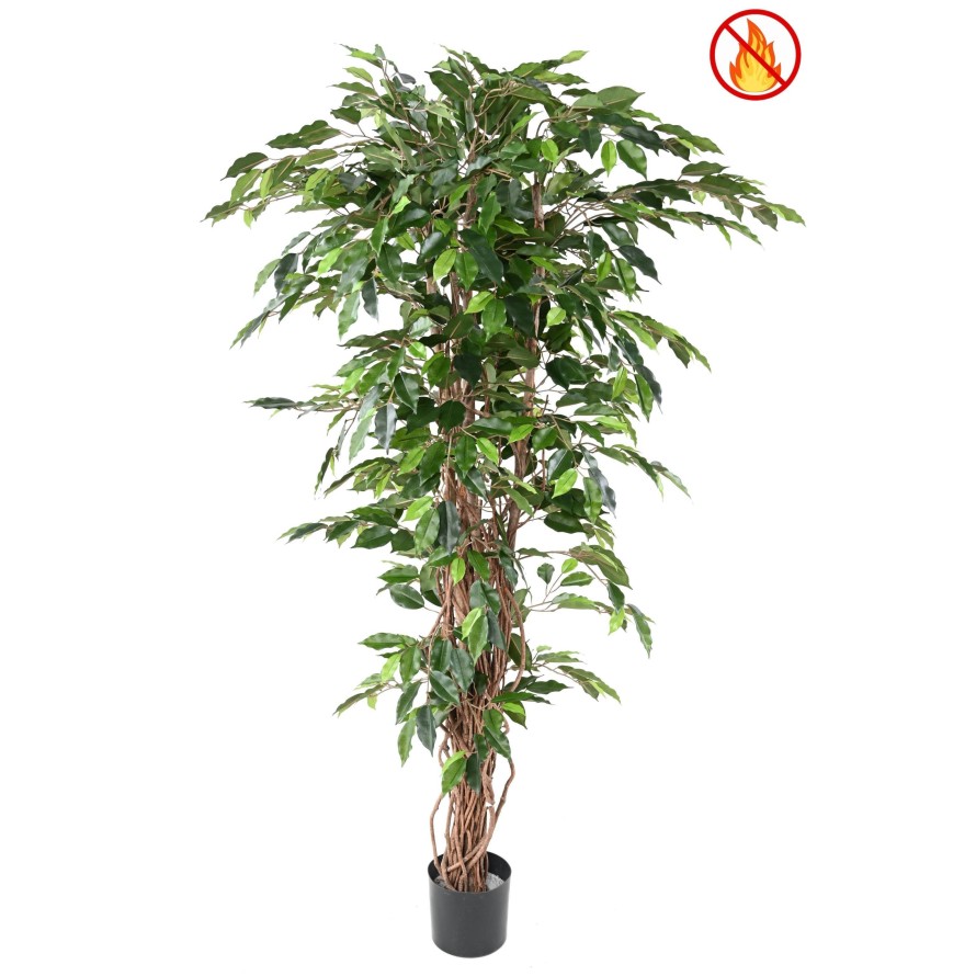 FICUS 180 LIANAS FR - Fire Resistant