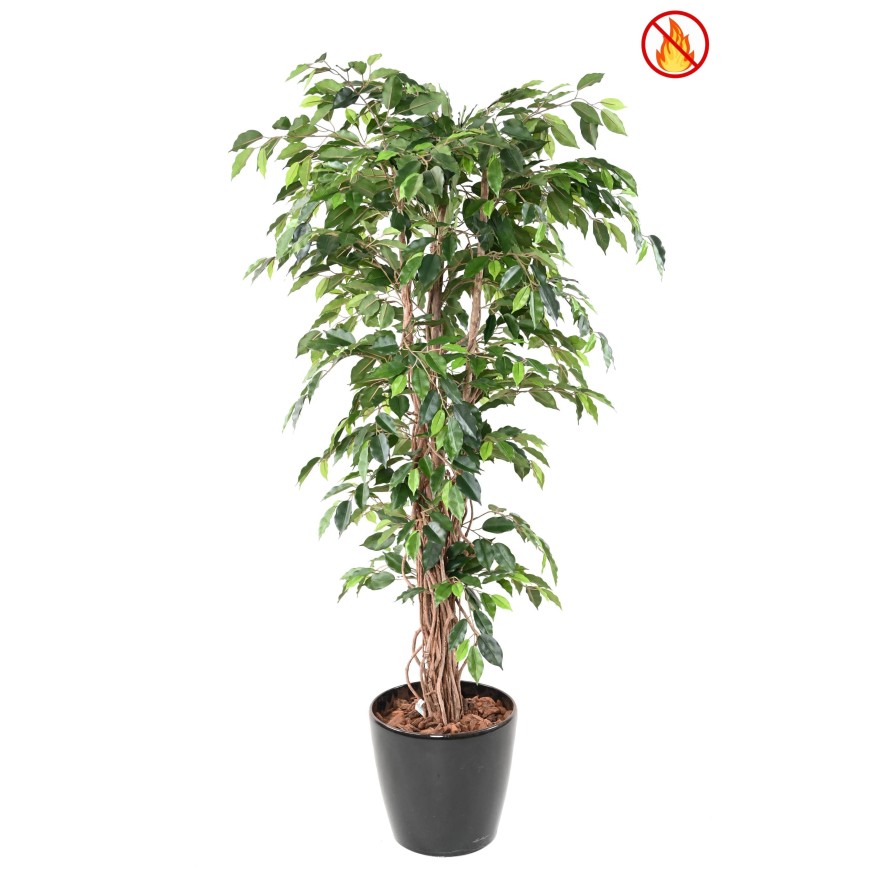 FICUS 180 LIANAS FR - Fire Resistant