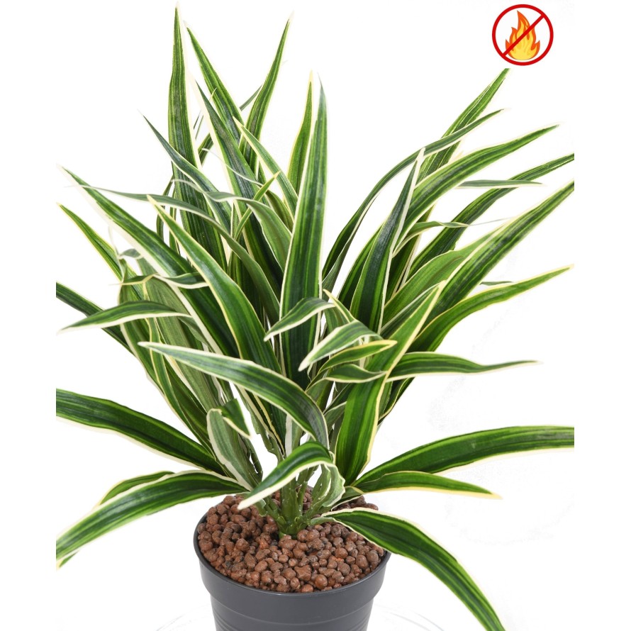 CHLOROPHYTUM BUSH FR - Fire Resistant