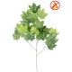 PLANE TREE SPRAY*23 FR - Fire Resistant