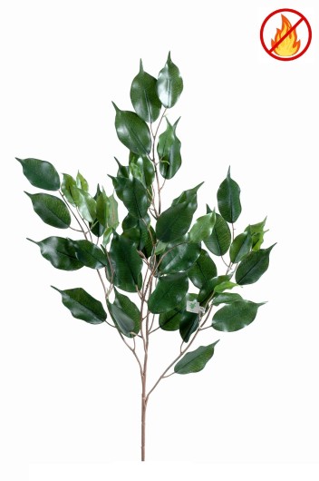 FICUS EXOTICA SPRAY *55 FR - Fire Resistant