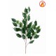 FICUS EXOTICA SPRAY *55 FR - Fire Resistant