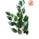 FICUS EXOTICA SPRAY *55 FR - Fire Resistant