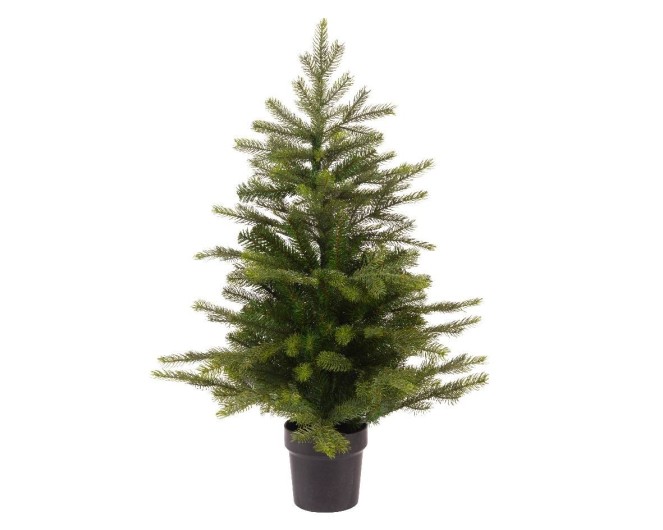 SAPIN MINI GRANDIS