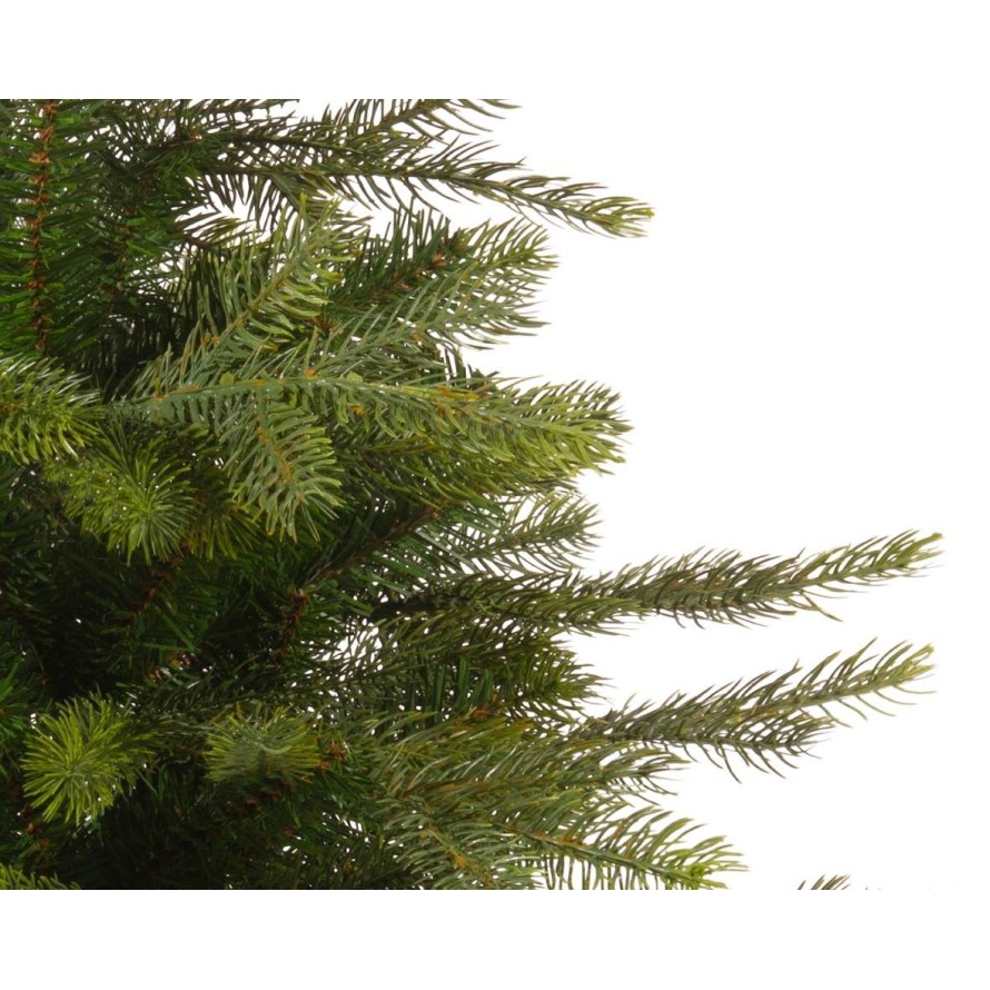 MINI GRANDIS FIR TREE