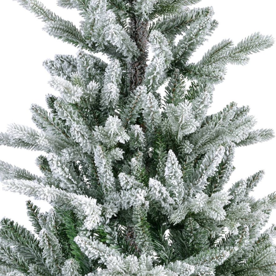 SNOWY ALLISON FIR