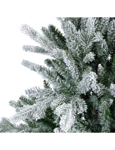 SNOW-COVERED ALLISON FIR