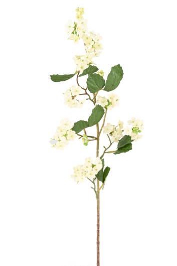 VIBURNUM 85