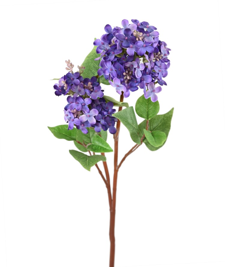 LILAS 84