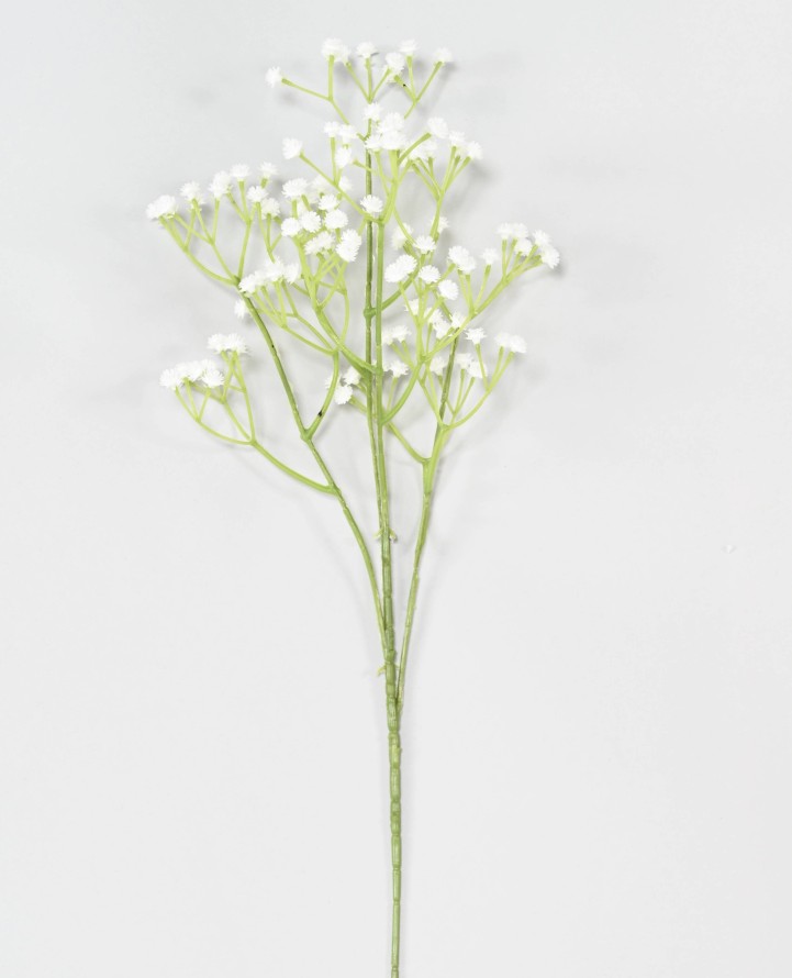 GYPSOPHILE 60