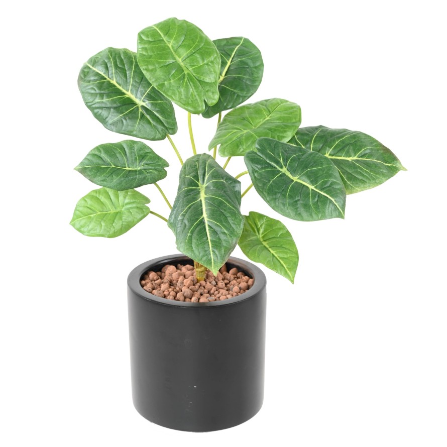 Artificial ALOCASIA