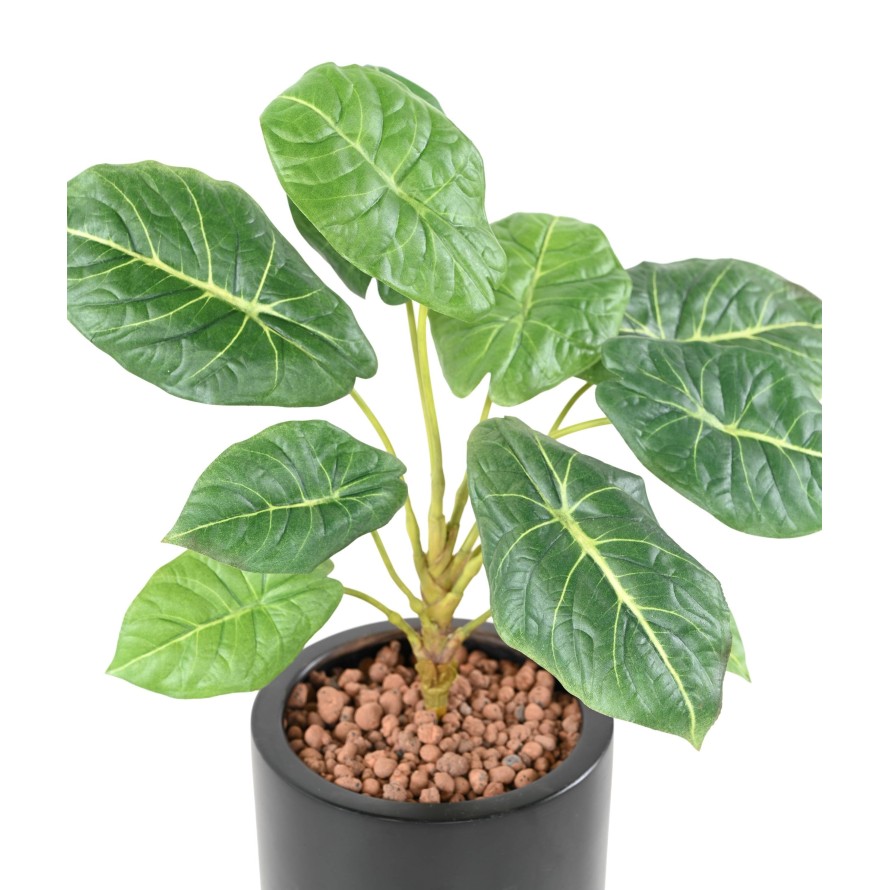 Artificial ALOCASIA