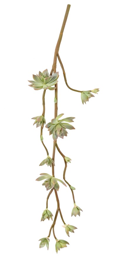 SUCCULENT ARTIFICIAL BRANCH