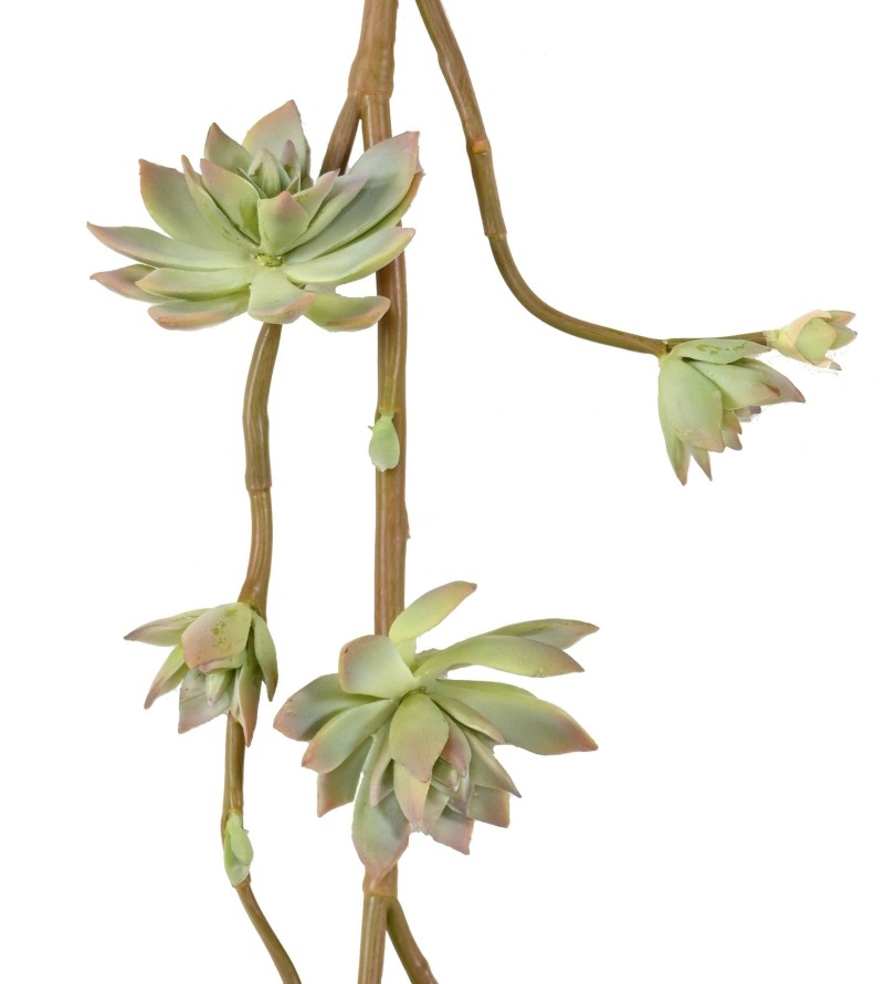 SUCCULENT ARTIFICIAL BRANCH