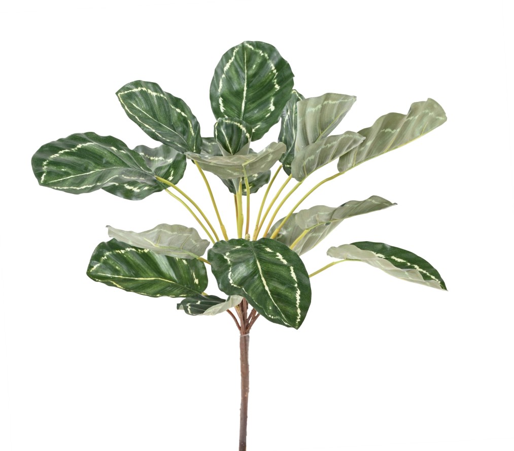 Artificial CALATHEA