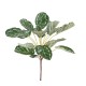 Artificial CALATHEA