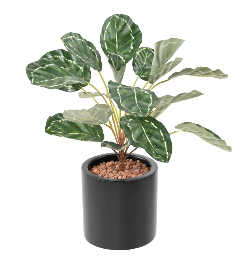 Artificial CALATHEA