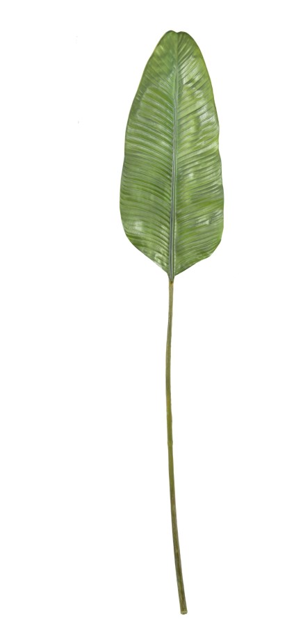 GIANT BANANA LEAF