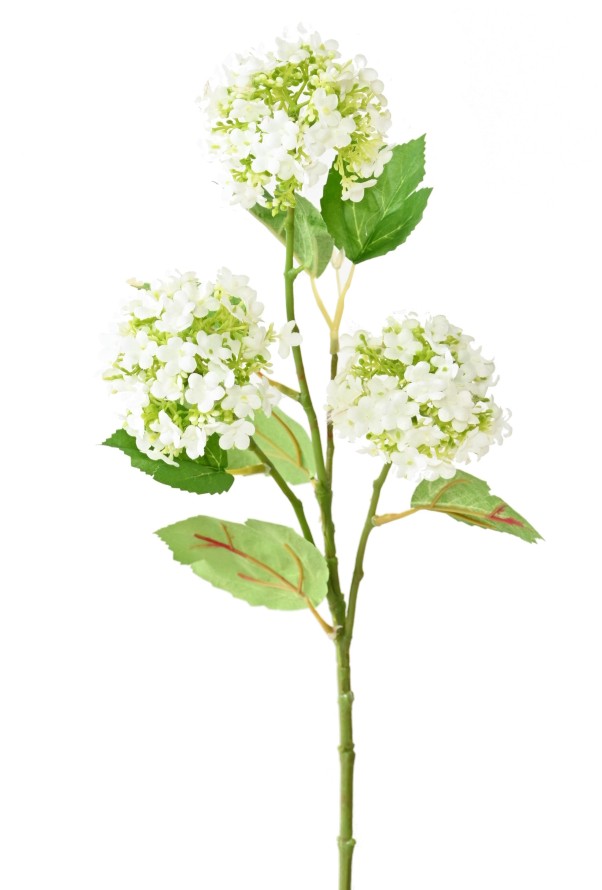 VIBURNUM*3