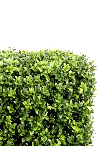 BOXWOOD HEDGE NEW METAL STRUCTURE