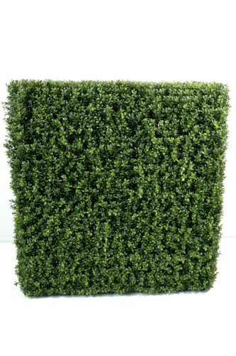 BOXWOOD HEDGE NEW METAL STRUCTURE