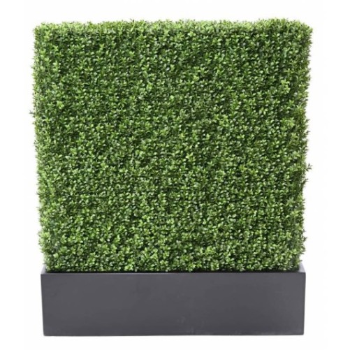 BOXWOOD HEDGE NEW METAL STRUCTURE