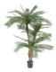 3-TRUNK PALM TREE NEW TF