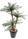 3-TRUNK PALM TREE NEW TF